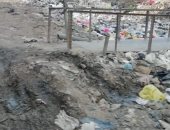 شكوى من انتشار القمامة بعزبة العمدة فى شبرا الخيمة