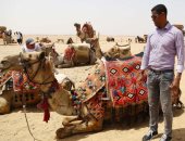 صور.. مدافع البرازيل يلبى دعوة اللجنة المنظمة لأمم الأفريقيا ويزور الأهرامات