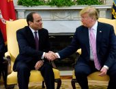 طارق فهمى: أمريكا تتفهم التحولات السياسية بمصر وتصريحات ترامب تؤكد دعمها
