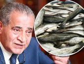 التموين: استمرار طرح أسماك طازجة ومجمدة بالمجمعات بأسعار مخفضة 25%
