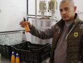 "صحة القليوبية" تضبط 3000 زجاجة مشروب صناعى فى القناطر الخيرية