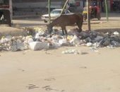 شكوى من انتشار القمامة بشارع شبرا.. والقارئة تتطالب بتوفير صناديق قمامة