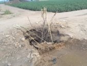 صور.. جذوع أشجار بديلة لأغطية بيارات الصرف الصحى بالطريق الرئيسى بالسنطة