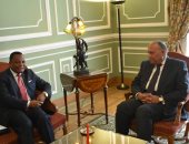 وزير الخارجية يتسلم رسالة موجهة إلى الرئيس السيسى من نظيره الكونغولى  