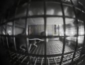 هكذا تصرفت الفئران عند زيارتها لمحطة الفضاء الدولية.. فيديو