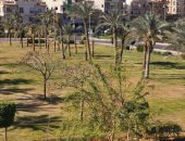 انقطاع المياه عن شوارع منطقة البنفسج 5.. مناشدة لإنقاذ الحدائق الخضراء
