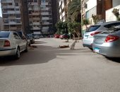انتشار الكلاب الضالة فى المنطقة السادسة مدينة نصر.. تهاجم الأطفال