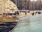 لأول مرة.. الأتوبيس الكهربائى والترام المكيف يستقبل المصطافين بالإسكندرية.. استعدادات مكثفة لاستقبال شم النسيم وموسم الصيف.. تجهيز 50 شاطئا وزيادة عدد الشواطئ المجانية لـ10 شواطئ وإطلاق حملة "عشانك يا إسكندرية"