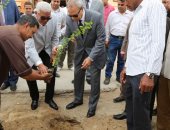 محافظ قنا: إطلاق المرحلة الثانية من مبادرة السيسى لزراعة مليون شجرة