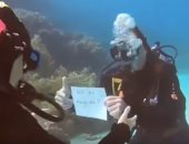 شاهد..شاب استرالى يطلب يد حبيبته للزواج تحت الماء وبطريقة غريبة