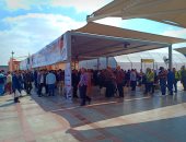 صور..تواجد كثيف للمسافرين والعاملين للإدلاء بأصواتهم بلجنة مطار القاهرة 