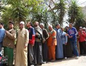 مسن بلجنة فى فيصل: قولت نعم للدستور وهذا أقل واجب نقدمه للرئيس 