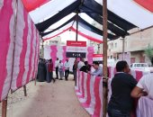 طوابير أمام لجان مدرسة المقطم الرسمية لغات للمشاركة فى الاستفتاء على الدستور