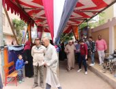 إقبال كثيف للمواطنين بلجان الأميرية فى ثاني أيام الاستفتاء