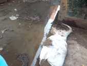 مياه الصرف تنتشر بشوارع منطقة كفر حمزة فى مركز الخانكة بالقليوبية
