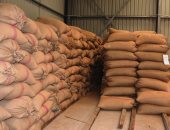 محافظ سوهاج: توريد 1352 طن و918 كيلو أقماح لشون وصوامع المحافظة