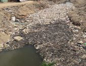 المخلفات تغطى مصرف السيل بأسوان.. شكوى أهالى منطقة السماد