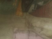 قارئة تطالب بإخلاء منطقة سور مجرى العيون وإزالتها ونقل سكانها