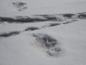 الجيش الهندى يعثر على آثار أقدام "رجل الثلج" الأسطورى.. اعرف الحكاية