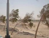 صور.. موجة طقس سئ ورياح محملة بالأتربة تجتاح الوادى الجديد