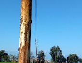 شكاوى من تهالك أعمدة الكهرباء بقرية الحمادية مركز بركة السبع