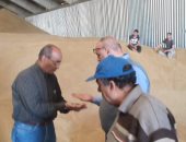 صور.. وكيل تموين الإسكندرية يتفقد صوامع القمح