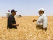 وزير الزراعة: 45% نسبة الاكتفاء الذاتى من القمح والتراجع بسبب الزيادة السكانية