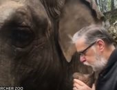 بعد فراق دام 35 عاما.. لقاء عاطفى يجمع الفيلة كريستى مع حارسها