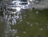 مياه الصرف الصحى تغرق شارع محمد مصطفى بشبراخيت فى البحيرة