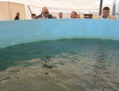 صور محافظ الوادي الجديد يتفقد مشروع الاستزراع السمكي بالخارجة بتكلفة 1.8 مليون جنيه 