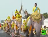 شاهد.. عرض للفيلة تكريما لتتويج ملك تايلاند الجديد