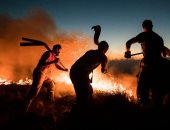 ناسا تحذر المملكة المتحدة من رقم قياسى جديد من حرائق الغابات