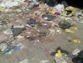 شكوى من انتشار القمامة  بشارع الخليج المصرى فى حدائق القبة