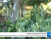 شاهد.. "الحدائق العجيبة" بالمغرب تحوى طيورًا وسلاحف ونباتات نادرة