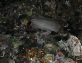 شكوى من انتشار أكوام القمامة فى شارع التروللى بالمطرية 