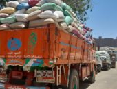 صور.. صوامع أسيوط تستقبل "الذهب الأصفر".. "الزراعة": توريد 40 ألف طن قمح حتى الآن.. والمحافظ: تجهيز 30 موقعًا تخزينيًا ونتوقع توريد 133 ألف طن لموسم 2019.. وصرف مستحقات التوريد خلال 48 ساعة
