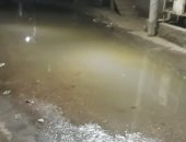 قارئ يشكو انتشار مياه الصرف الصحى بقرية بانوب فى الدقهلية