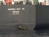 خبراء من 4 دول يشاركون فى تحقيقات حادث تخريب السفن قبالة سواحل الإمارات