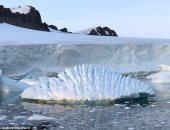 تقرير يحذر من اختفاء الأنهار الجليدية بحلول 2050 بسبب الاحتباس الحرارى