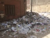شكوى من تراكم القمامة بشارع الخليل إبراهيم بالجيزة.. والأهالى يطالبون بصناديق