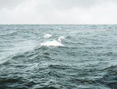 دراسة: ارتفاع مستوى سطح البحر حول سواحل بريطانيا الأسرع منذ قرن 