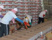 الأورمان والهلال الأحمر الإماراتى يوزعان 350 كرتونة مواد غذائية بالدقهلية