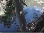 المزارعين بالابراهيمية بالشرقية يشكون من نقص المياه بترعة بحر الحصانة