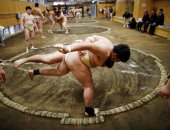 منافسات مصارعة السومو فى اليابان بدون جمهور بسبب كورونا