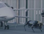 HyQReal روبوت جديد يمكنه سحب طائرة وزنها ثلاثة أطنان.. فيديو