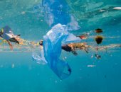 إزالة أكثر من 10 أطنان مخلفات بحرية من شواطئ الأزور بالبرتغال سنويا