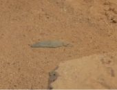 عمرها 4500 سنة.. العثور على أداة يعتقد استخدامها فى بناء هرم خوفو