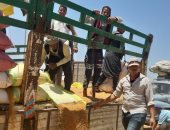 "زراعة أسيوط": توريد 112 ألف طن قمح للشون والصوامع