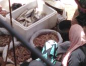 "سوق الجمعة" يزعج سكان شارع شاهين النعام فى عين شمس