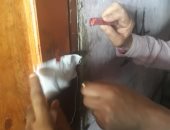 غلق المحال والمتاجر المخالفة شرق الإسكندرية